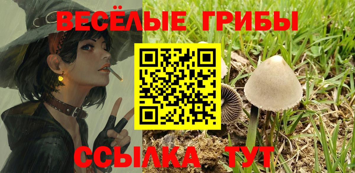 Зеленокумск  Галлюциногенные грибы Psilocybine cubensis  Вход с VPN  Галлюциногенные грибы Psilocybe 